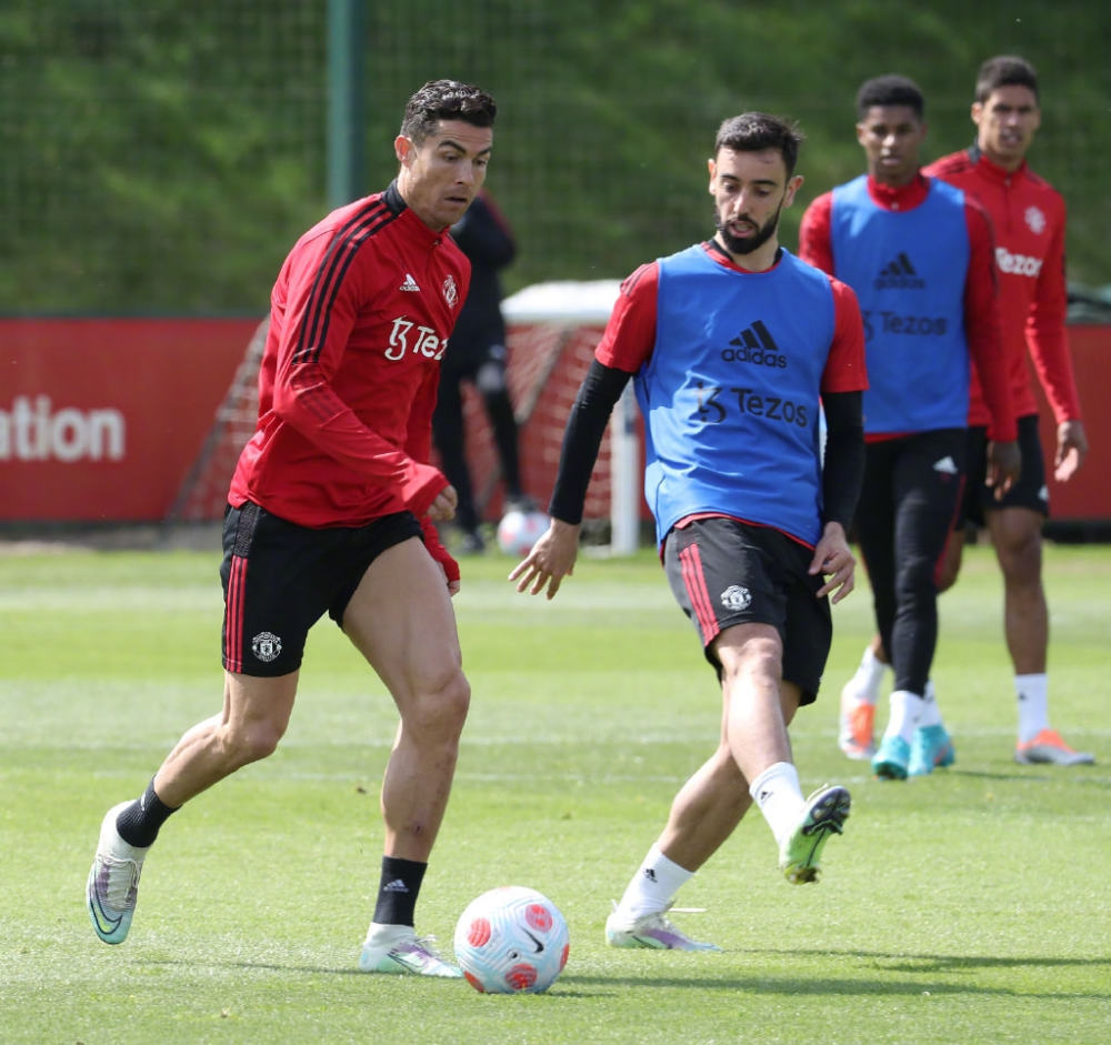 他们可以多 他们可以多