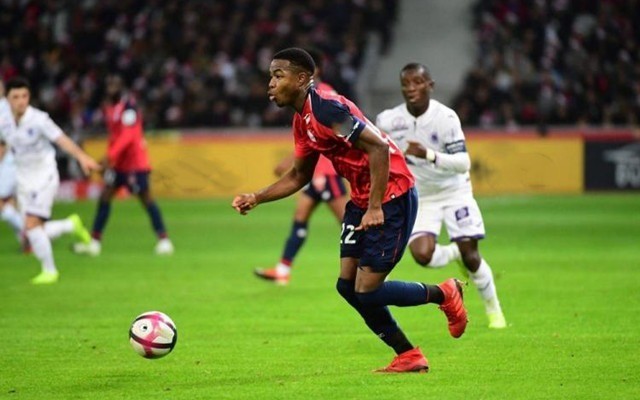 他的射门精 他的射门精