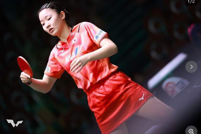 或会揭秘 或会揭秘